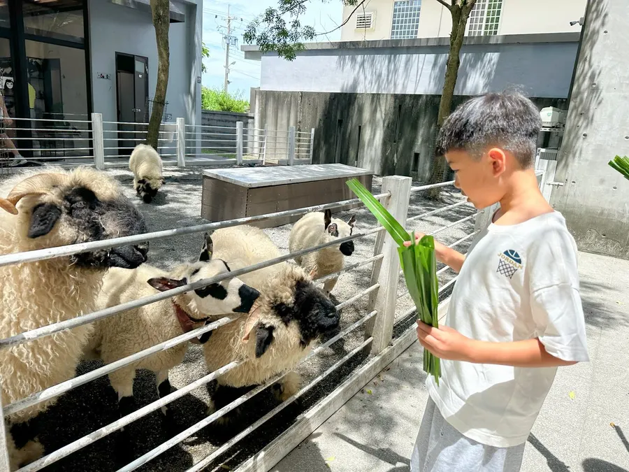 宜蘭綠舞 圖片2